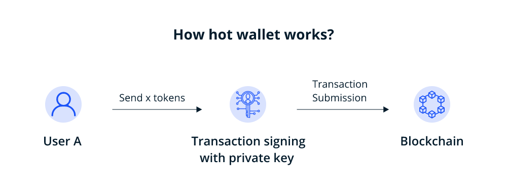 Cold Wallets and Hot Wallets how to find vulnerabilities and eliminate various attacks on the Blockchain